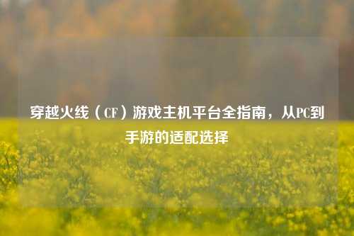 穿越火线（CF）游戏主机平台全指南，从PC到手游的适配选择