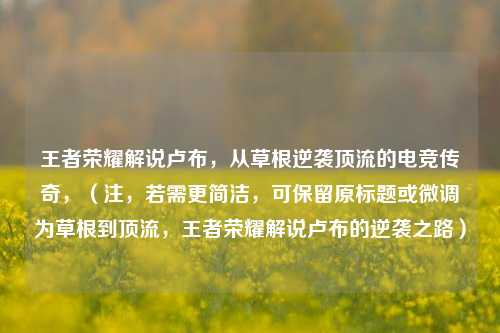 王者荣耀解说卢布，从草根逆袭顶流的电竞传奇，（注，若需更简洁，可保留原标题或微调为草根到顶流，王者荣耀解说卢布的逆袭之路）