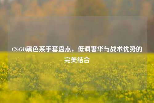 CS:GO黑色系手套盘点，低调奢华与战术优势的完美结合