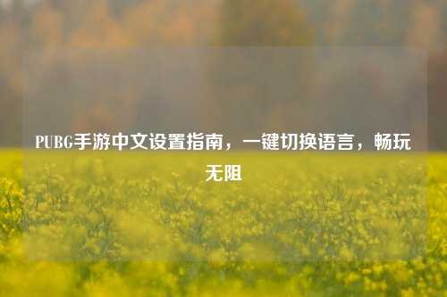 PUBG手游中文设置指南，一键切换语言，畅玩无阻