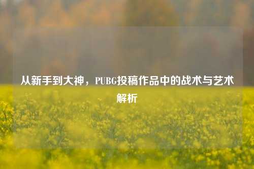 从新手到大神，PUBG投稿作品中的战术与艺术解析