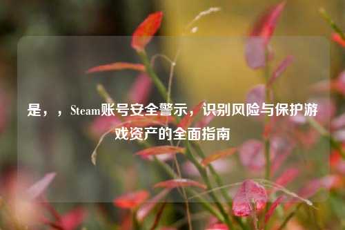 是，，Steam账号安全警示，识别风险与保护游戏资产的全面指南