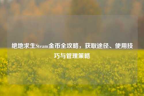 绝地求生Steam金币全攻略，获取途径、使用技巧与管理策略