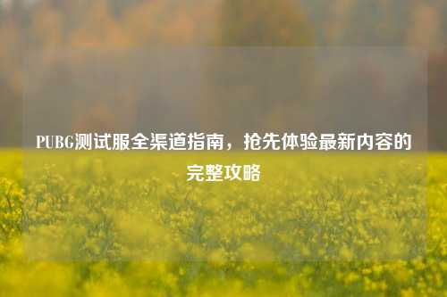 PUBG测试服全渠道指南，抢先体验最新内容的完整攻略