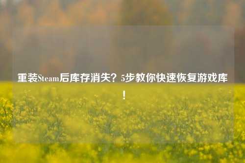 重装Steam后库存消失？5步教你快速恢复游戏库！