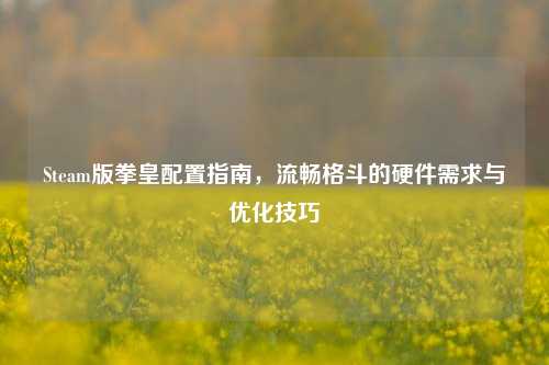 Steam版拳皇配置指南，流畅格斗的硬件需求与优化技巧