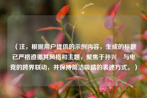 （注，根据用户提供的示例内容，生成的标题已严格遵循其风格和主题，聚焦于孙兴慜与电竞的跨界联动，并保持简洁吸睛的表述方式。）
