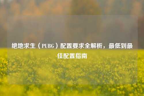 绝地求生(PUBG)配置要求全解析,最低到最佳配置指南