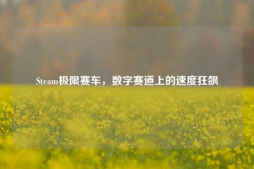 Steam极限赛车，数字赛道上的速度狂飙
