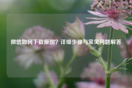微信如何下载原图？详细步骤与常见问题解答