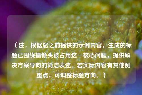（注，根据您之前提供的示例内容，生成的标题已围绕摄像头被占用这一核心问题，提供解决方案导向的简洁表述。若实际内容有其他侧重点，可调整标题方向。）