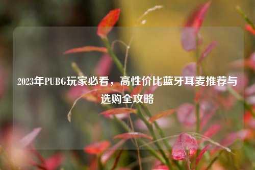 2023年PUBG玩家必看，高性价比蓝牙耳麦推荐与选购全攻略