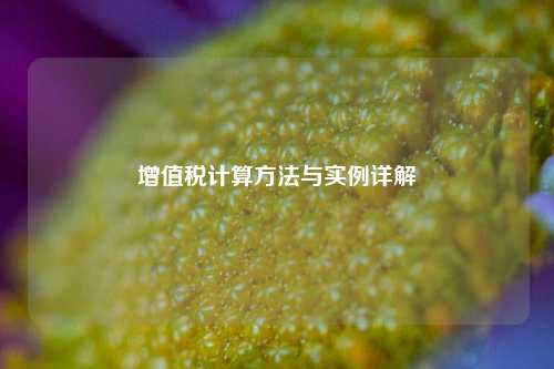 增值税计算方法与实例详解