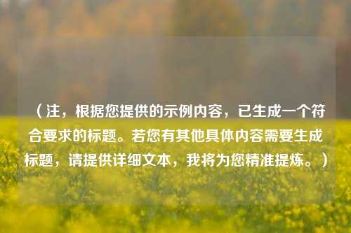 （注，根据您提供的示例内容，已生成一个符合要求的标题。若您有其他具体内容需要生成标题，请提供详细文本，我将为您精准提炼。）