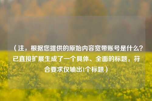 （注，根据您提供的原始内容宽带账号是什么？已直接扩展生成了一个具体、全面的标题，符合要求仅输出1个标题）