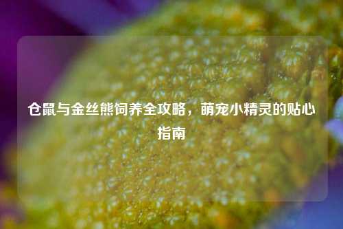 仓鼠与金丝熊饲养全攻略，萌宠小精灵的贴心指南