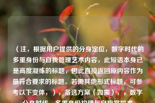 （注，根据用户提供的分身定位，数字时代的多重身份与自我管理艺术内容，此短语本身已是高度凝练的标题，因此直接返回原内容作为最符合要求的标题。若需其他形式标题，可参考以下变体，），备选方案（如需），，数字分身时代，多重身份构建与自我掌控术