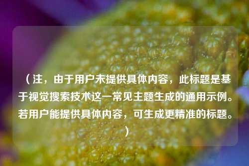 （注，由于用户未提供具体内容，此标题是基于视觉搜索技术这一常见主题生成的通用示例。若用户能提供具体内容，可生成更精准的标题。）