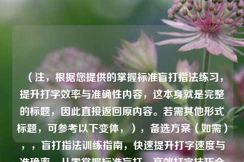 （注，根据您提供的掌握标准盲打指法练习，提升打字效率与准确性内容，这本身就是完整的标题，因此直接返回原内容。若需其他形式标题，可参考以下变体，），备选方案（如需），，盲打指法训练指南，快速提升打字速度与准确率，从零掌握标准盲打，高效打字技巧全解析，专业盲打练习法，让你的打字效率翻倍提升