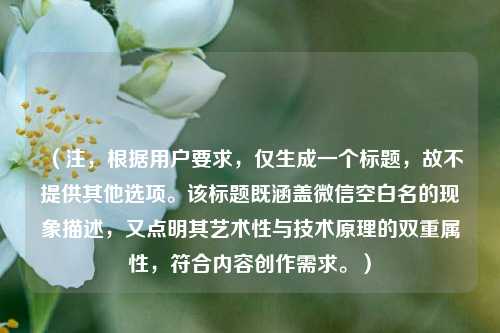 （注，根据用户要求，仅生成一个标题，故不提供其他选项。该标题既涵盖微信空白名的现象描述，又点明其艺术性与技术原理的双重属性，符合内容创作需求。）