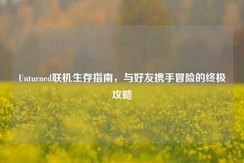 Unturned联机生存指南，与好友携手冒险的终极攻略