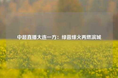 中超直播大连一方：绿茵烽火再燃滨城