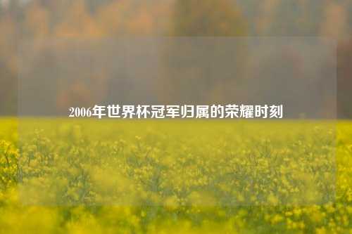 2006年世界杯冠军归属的荣耀时刻