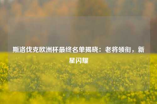 斯洛伐克欧洲杯最终名单揭晓：老将领衔，新星闪耀