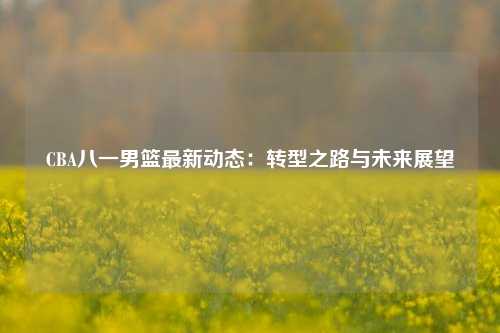 CBA八一男篮最新动态：转型之路与未来展望