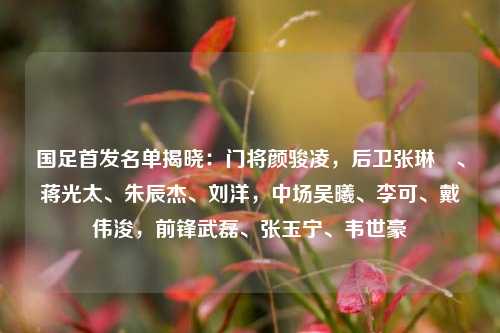 国足首发名单揭晓：门将颜骏凌，后卫张琳芃、蒋光太、朱辰杰、刘洋，中场吴曦、李可、戴伟浚，前锋武磊、张玉宁、韦世豪