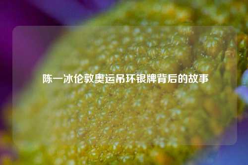  陈一冰伦敦奥运吊环银牌背后的故事