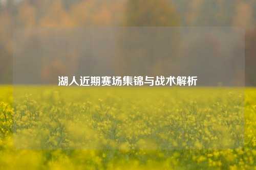 湖人近期赛场集锦与战术解析