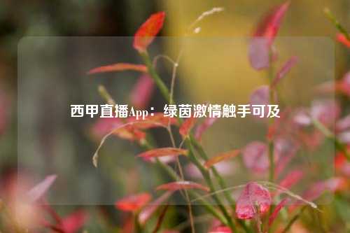 西甲直播App：绿茵激情触手可及