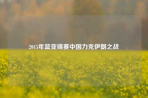 2015年篮亚锦赛中国力克伊朗之战