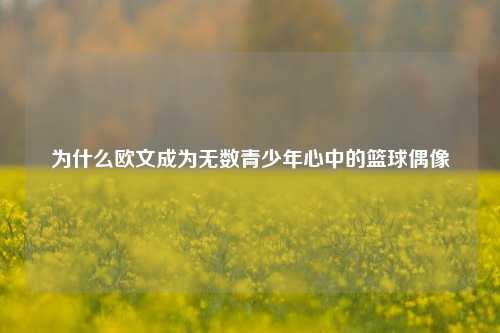 为什么欧文成为无数青少年心中的篮球偶像
