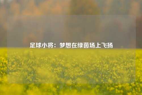 足球小将：梦想在绿茵场上飞扬