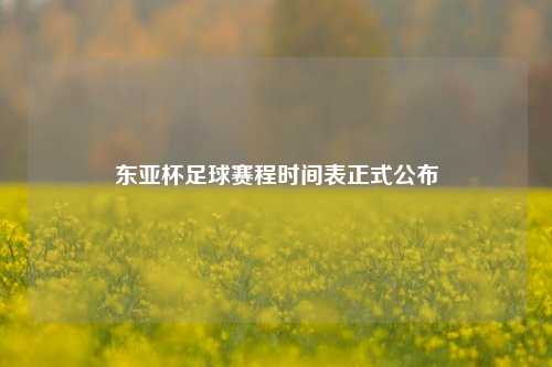 东亚杯足球赛程时间表正式公布