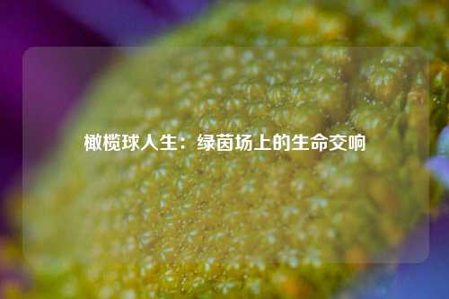 橄榄球人生：绿茵场上的生命交响