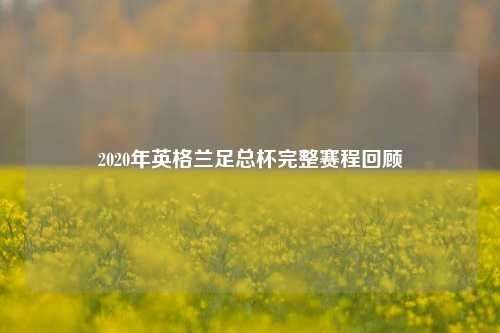 2020年英格兰足总杯完整赛程回顾