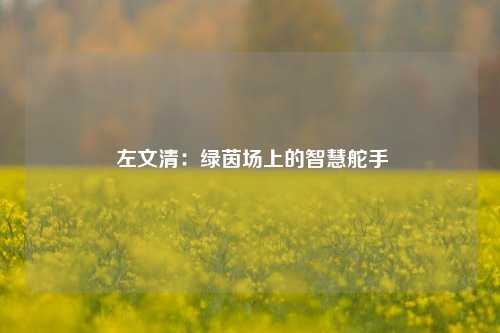  左文清：绿茵场上的智慧舵手