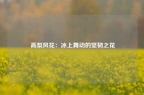  高梨风花：冰上舞动的坚韧之花