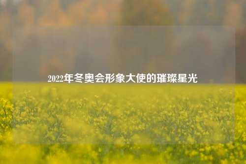 2022年冬奥会形象大使的璀璨星光