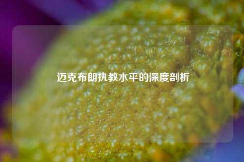  迈克布朗执教水平的深度剖析